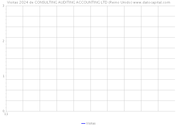 Visitas 2024 de CONSULTING AUDITING ACCOUNTING LTD (Reino Unido) 