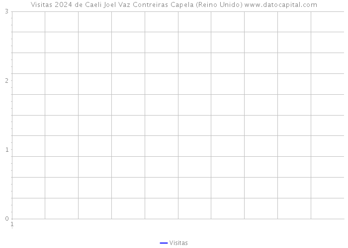 Visitas 2024 de Caeli Joel Vaz Contreiras Capela (Reino Unido) 