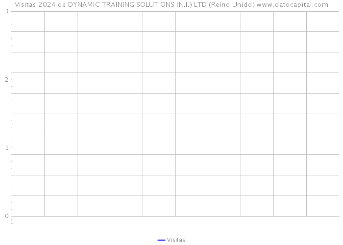 Visitas 2024 de DYNAMIC TRAINING SOLUTIONS (N.I.) LTD (Reino Unido) 