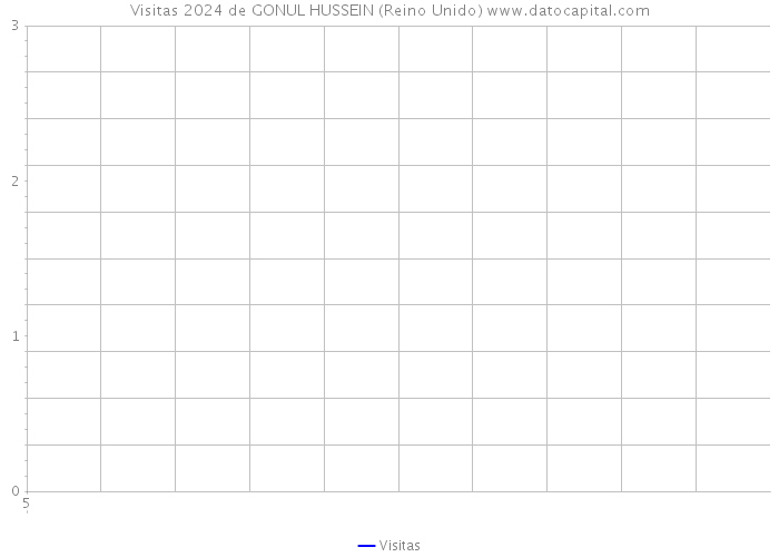 Visitas 2024 de GONUL HUSSEIN (Reino Unido) 