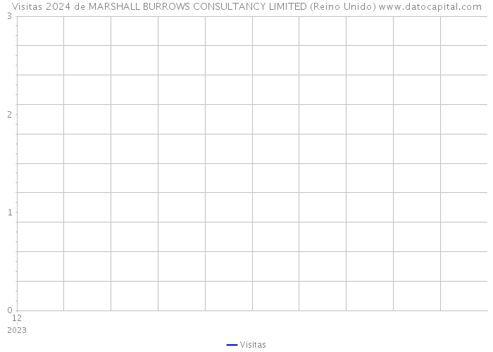 Visitas 2024 de MARSHALL BURROWS CONSULTANCY LIMITED (Reino Unido) 