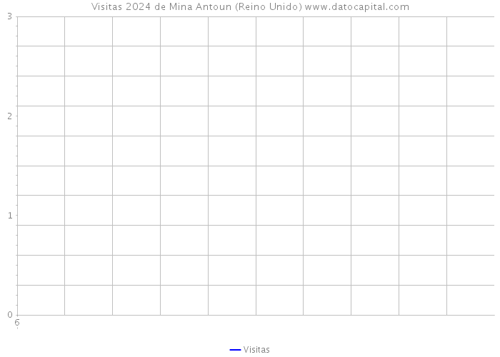 Visitas 2024 de Mina Antoun (Reino Unido) 