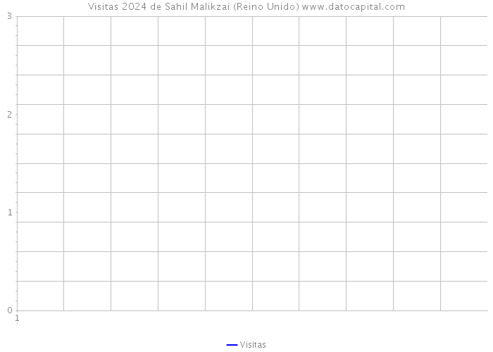 Visitas 2024 de Sahil Malikzai (Reino Unido) 