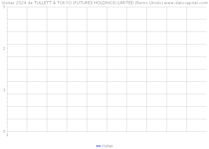 Visitas 2024 de TULLETT & TOKYO (FUTURES HOLDINGS) LIMITED (Reino Unido) 