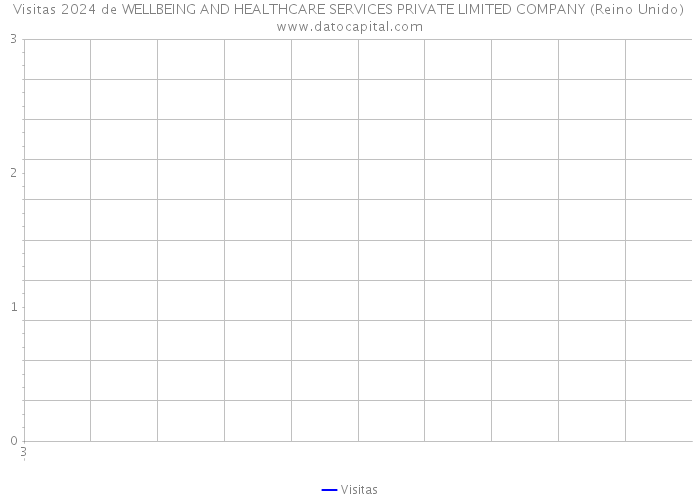 Visitas 2024 de WELLBEING AND HEALTHCARE SERVICES PRIVATE LIMITED COMPANY (Reino Unido) 