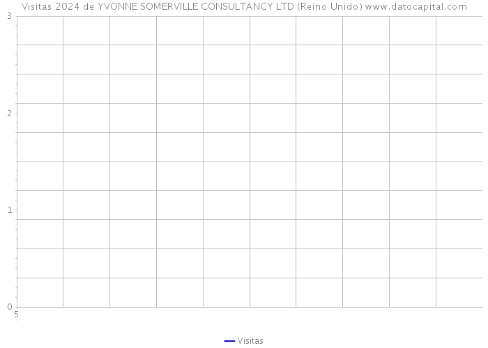 Visitas 2024 de YVONNE SOMERVILLE CONSULTANCY LTD (Reino Unido) 