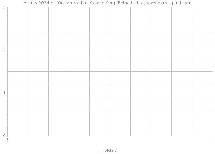 Visitas 2024 de Yaseen Medina Cowan King (Reino Unido) 