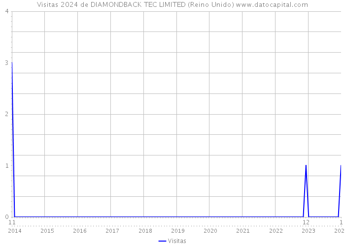 Visitas 2024 de DIAMONDBACK TEC LIMITED (Reino Unido) 