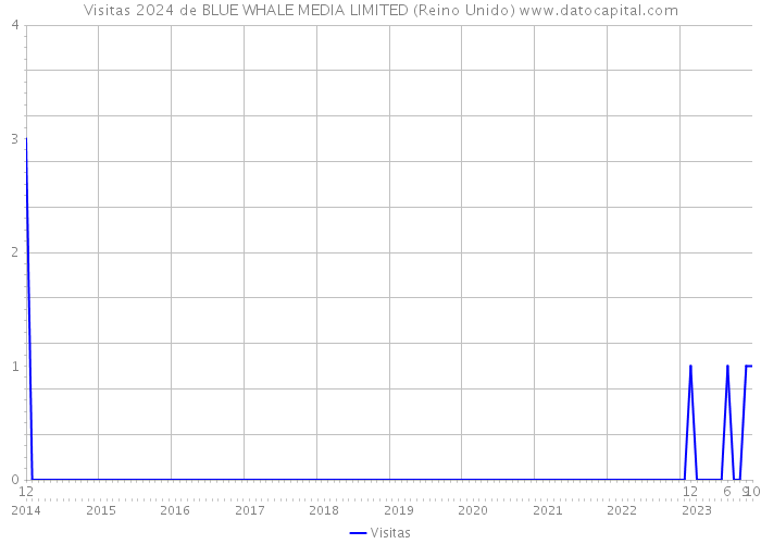 Visitas 2024 de BLUE WHALE MEDIA LIMITED (Reino Unido) 