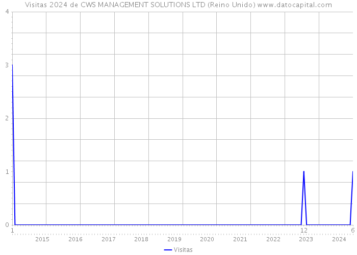 Visitas 2024 de CWS MANAGEMENT SOLUTIONS LTD (Reino Unido) 