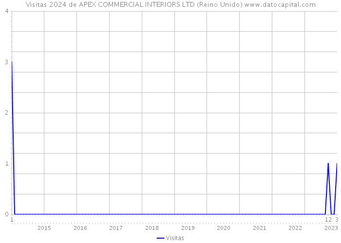 Visitas 2024 de APEX COMMERCIAL INTERIORS LTD (Reino Unido) 