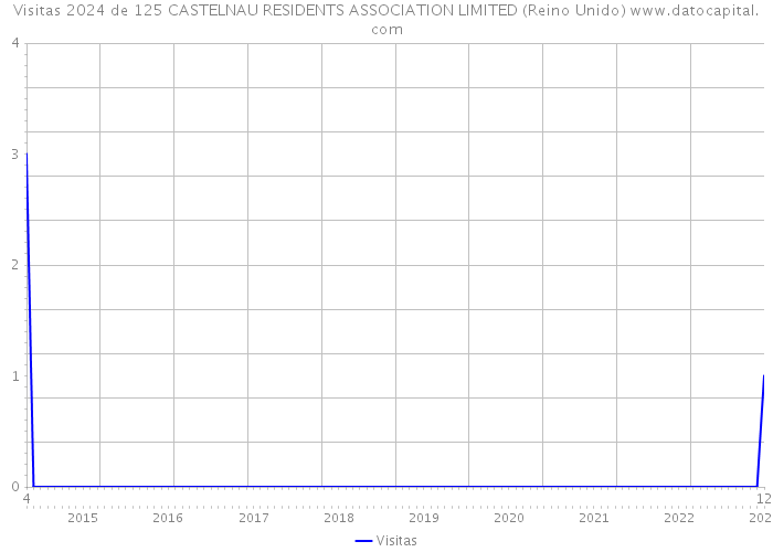 Visitas 2024 de 125 CASTELNAU RESIDENTS ASSOCIATION LIMITED (Reino Unido) 