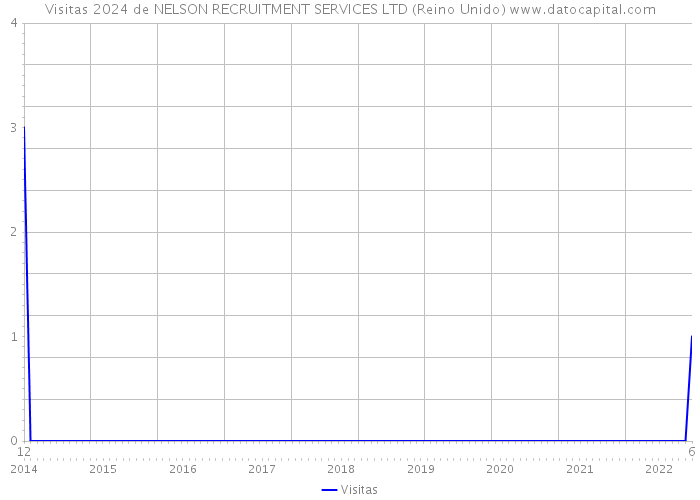 Visitas 2024 de NELSON RECRUITMENT SERVICES LTD (Reino Unido) 