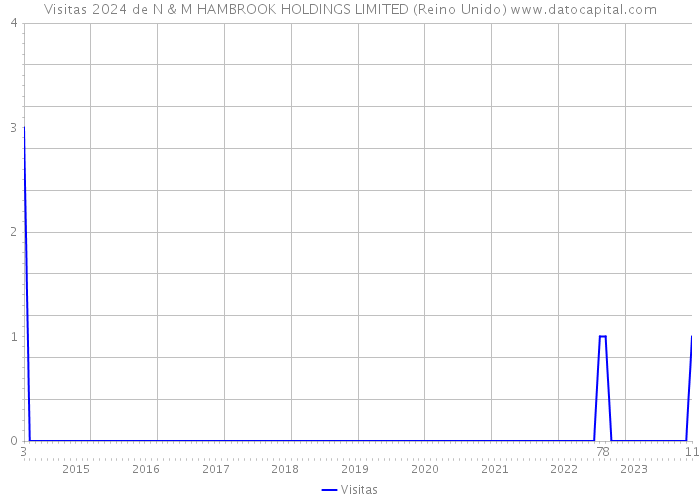 Visitas 2024 de N & M HAMBROOK HOLDINGS LIMITED (Reino Unido) 