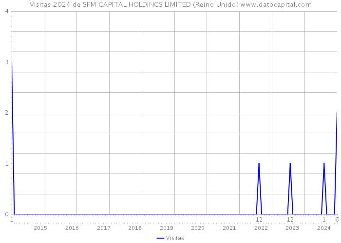 Visitas 2024 de SFM CAPITAL HOLDINGS LIMITED (Reino Unido) 