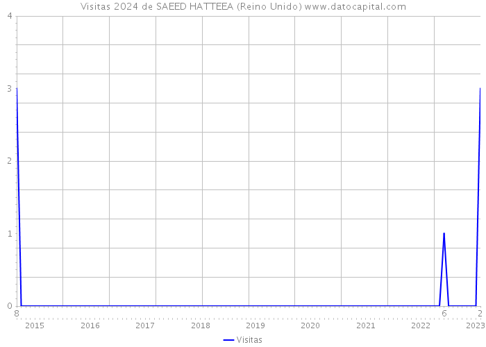 Visitas 2024 de SAEED HATTEEA (Reino Unido) 