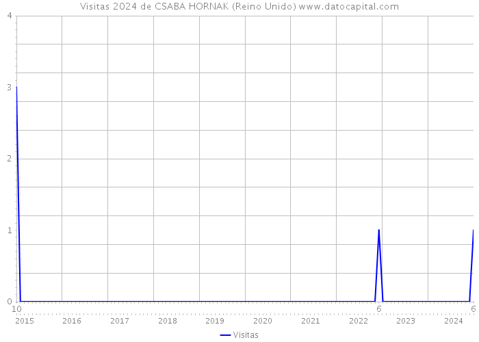 Visitas 2024 de CSABA HORNAK (Reino Unido) 