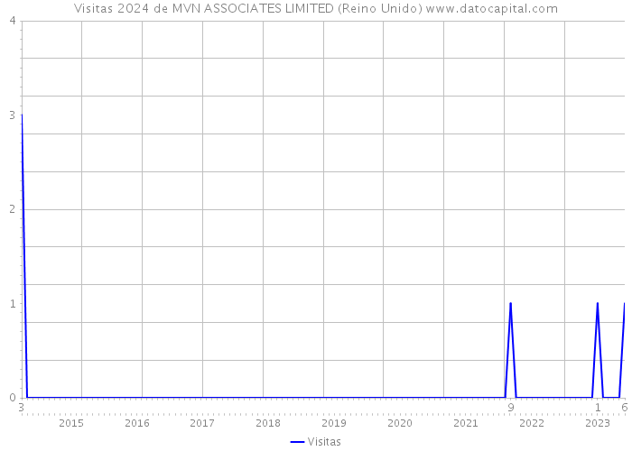 Visitas 2024 de MVN ASSOCIATES LIMITED (Reino Unido) 