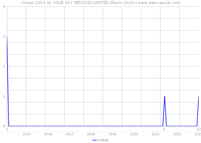 Visitas 2024 de YOUR SAY SERVICES LIMITED (Reino Unido) 