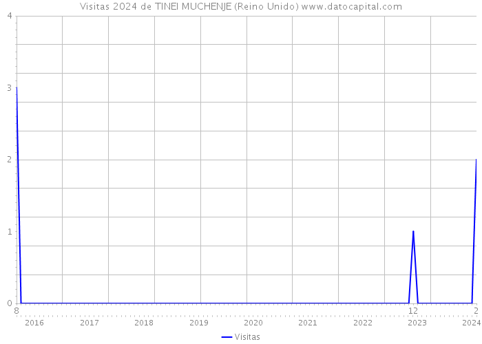 Visitas 2024 de TINEI MUCHENJE (Reino Unido) 