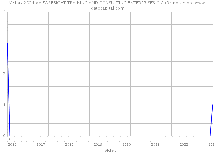 Visitas 2024 de FORESIGHT TRAINING AND CONSULTING ENTERPRISES CIC (Reino Unido) 