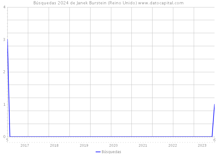 Búsquedas 2024 de Janek Burstein (Reino Unido) 