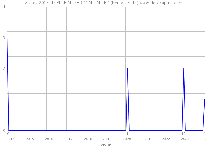 Visitas 2024 de BLUE MUSHROOM LIMITED (Reino Unido) 