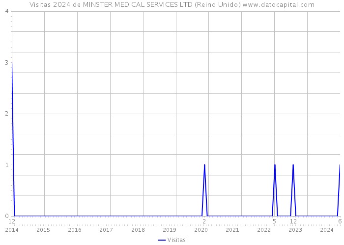 Visitas 2024 de MINSTER MEDICAL SERVICES LTD (Reino Unido) 