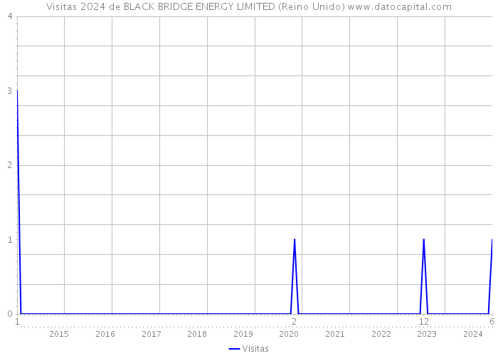 Visitas 2024 de BLACK BRIDGE ENERGY LIMITED (Reino Unido) 