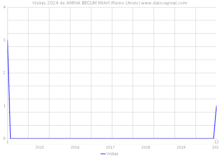 Visitas 2024 de AMINA BEGUM MIAH (Reino Unido) 