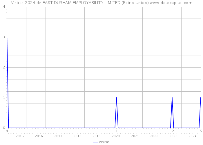 Visitas 2024 de EAST DURHAM EMPLOYABILITY LIMITED (Reino Unido) 