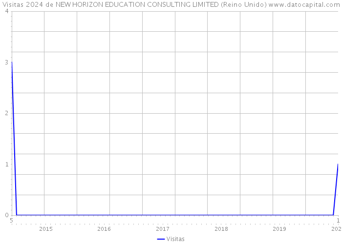 Visitas 2024 de NEW HORIZON EDUCATION CONSULTING LIMITED (Reino Unido) 