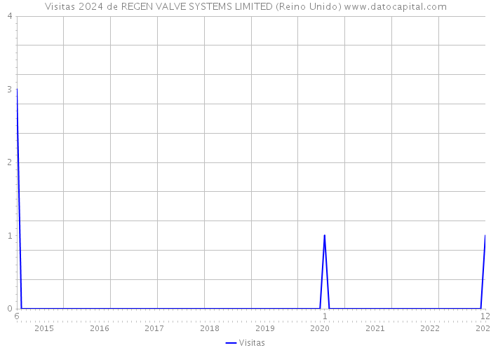 Visitas 2024 de REGEN VALVE SYSTEMS LIMITED (Reino Unido) 