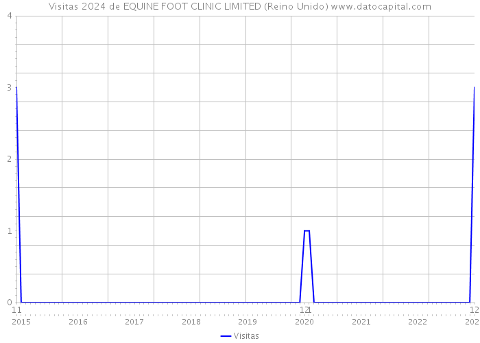 Visitas 2024 de EQUINE FOOT CLINIC LIMITED (Reino Unido) 