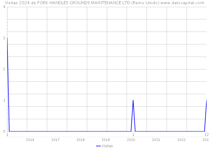 Visitas 2024 de FORK HANDLES GROUNDS MAINTENANCE LTD (Reino Unido) 