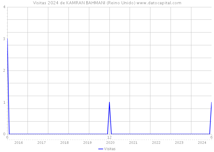 Visitas 2024 de KAMRAN BAHMANI (Reino Unido) 