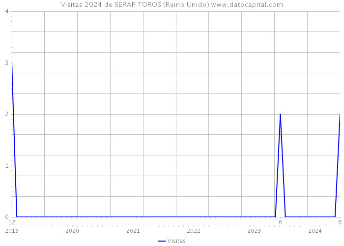 Visitas 2024 de SERAP TOROS (Reino Unido) 