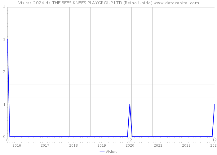 Visitas 2024 de THE BEES KNEES PLAYGROUP LTD (Reino Unido) 