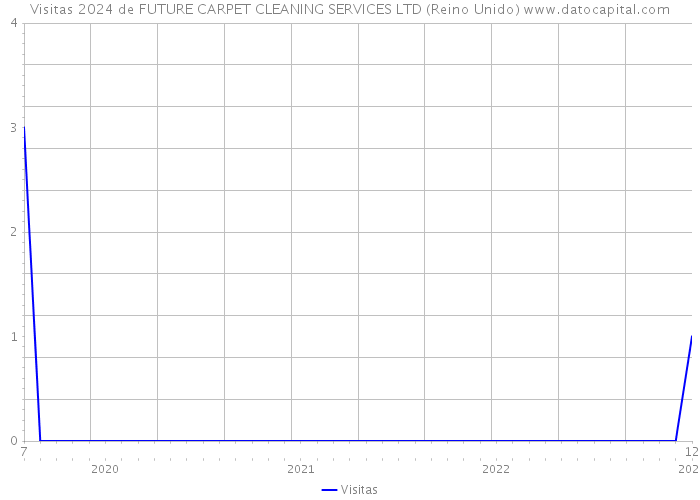Visitas 2024 de FUTURE CARPET CLEANING SERVICES LTD (Reino Unido) 