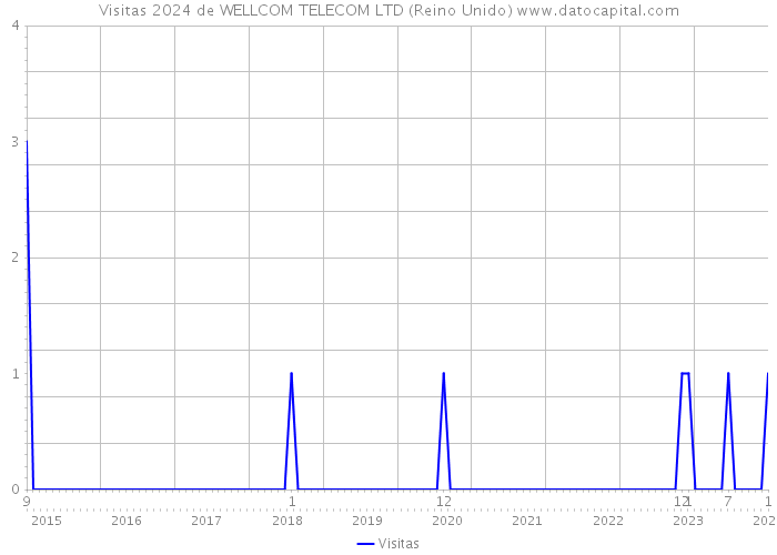 Visitas 2024 de WELLCOM TELECOM LTD (Reino Unido) 