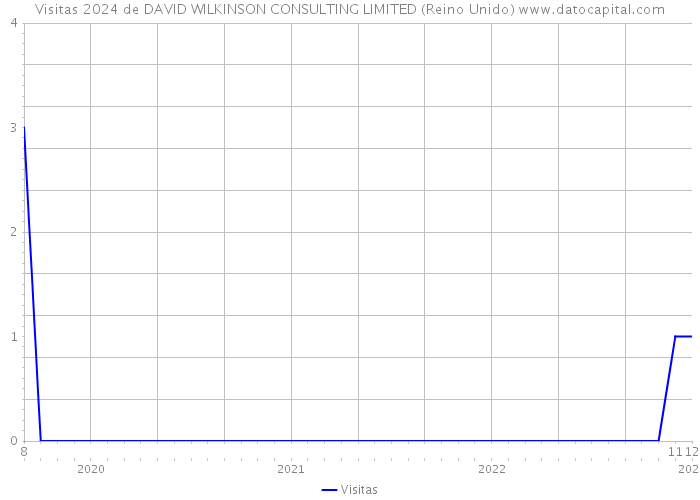 Visitas 2024 de DAVID WILKINSON CONSULTING LIMITED (Reino Unido) 