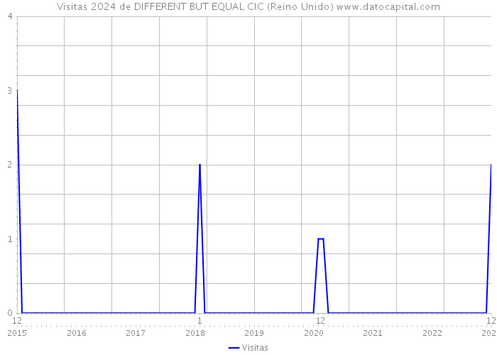 Visitas 2024 de DIFFERENT BUT EQUAL CIC (Reino Unido) 