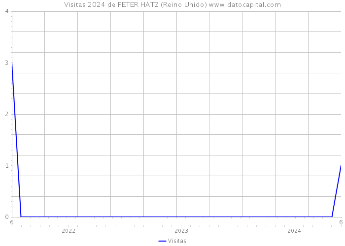 Visitas 2024 de PETER HATZ (Reino Unido) 