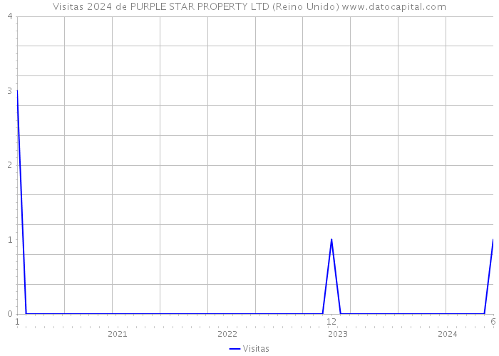 Visitas 2024 de PURPLE STAR PROPERTY LTD (Reino Unido) 