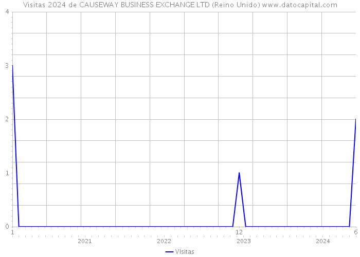 Visitas 2024 de CAUSEWAY BUSINESS EXCHANGE LTD (Reino Unido) 