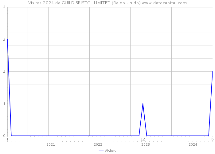 Visitas 2024 de GUILD BRISTOL LIMITED (Reino Unido) 