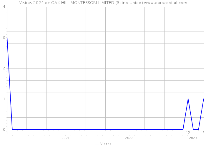 Visitas 2024 de OAK HILL MONTESSORI LIMITED (Reino Unido) 