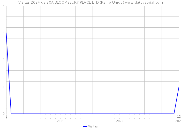 Visitas 2024 de 20A BLOOMSBURY PLACE LTD (Reino Unido) 