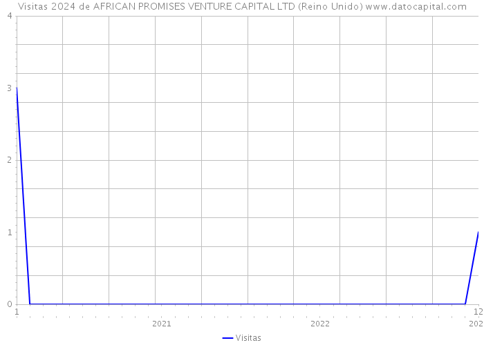 Visitas 2024 de AFRICAN PROMISES VENTURE CAPITAL LTD (Reino Unido) 