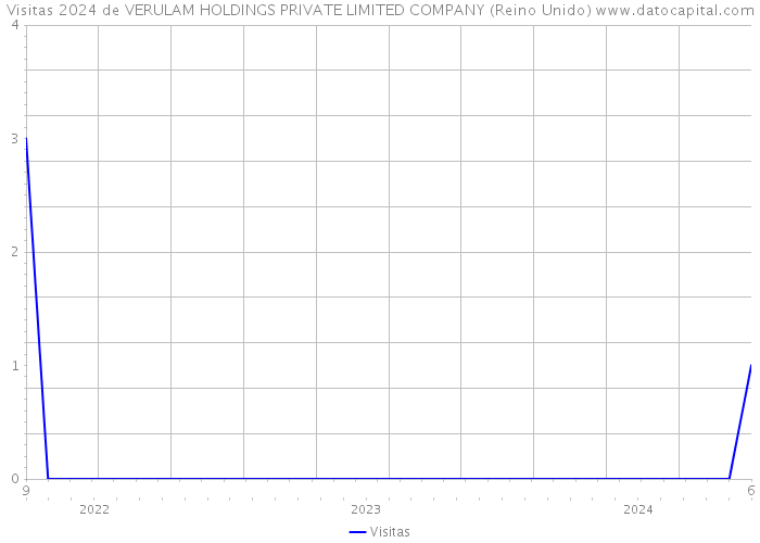 Visitas 2024 de VERULAM HOLDINGS PRIVATE LIMITED COMPANY (Reino Unido) 